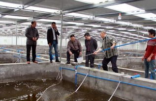 科技赋能 生态融合 重庆长寿工厂化养鱼模式对涪陵渔业发展的启示