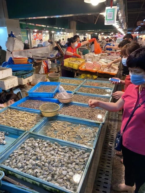 5月1日起温州全面进入海洋伏季休渔期 还能享受哪些海鲜与养殖水产品？