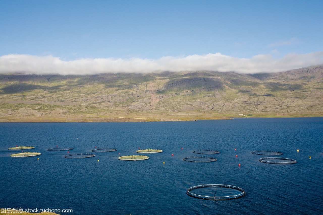 冰岛水产养殖业的可持续发展与创新