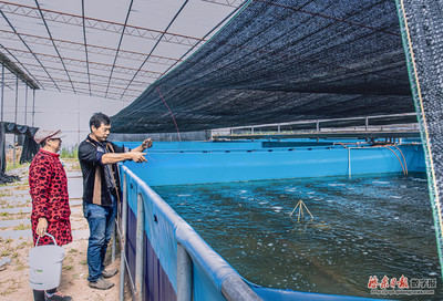 工厂化养鱼 现代水产品养殖的高效革命