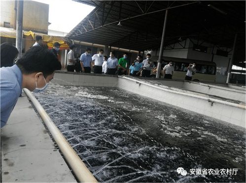 杨增权在全国水产品加工发展座谈会上作典型交流发言 聚焦养殖升级，助推产业高质量发展