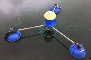 在水产养殖中关于溶解氧你了解多少