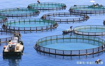 水产养殖迎来大考 国家定调绿色养殖，水产品养殖业转型升级