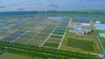 镇江扬中 一水抱城，用特色擦亮农业名片的水产品养殖之路