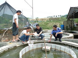 保障市民餐桌安全 我市开展养殖水产品及水产苗种药物残留抽检工作
